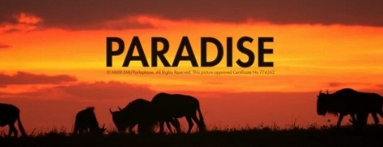 coldplay-paradise-2.jpg