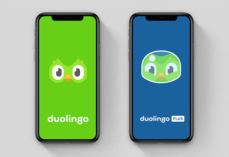 Johnson Banks Rediseña El Wordmark De La Famosa App Duolingo