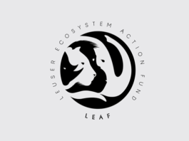 Superfried ha realizado la identidad para la ONG Leuser Ecosystem Action Fund (leaf).