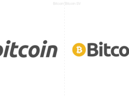 Bitcoin Sv surge como el resurgimiento de la famosa criptomoneda Bitcoin.